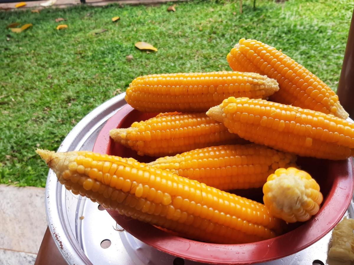 Mangohut Joy Anuradhapura Exterior foto